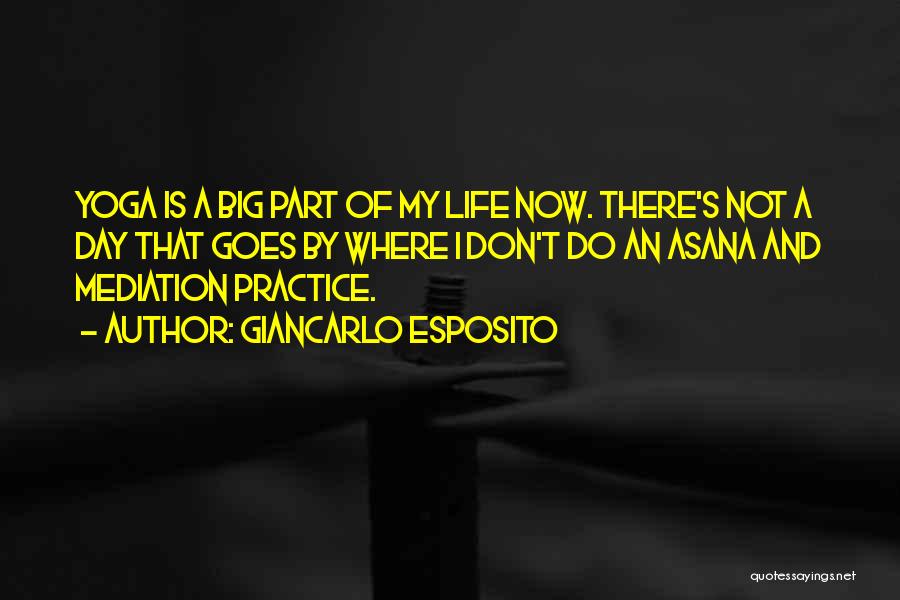Giancarlo Esposito Quotes: Yoga Is A Big Part Of My Life Now. There's Not A Day That Goes By Where I Don't Do