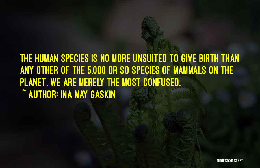 Ina May Gaskin Quotes: The Human Species Is No More Unsuited To Give Birth Than Any Other Of The 5,000 Or So Species Of