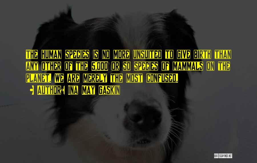 Ina May Gaskin Quotes: The Human Species Is No More Unsuited To Give Birth Than Any Other Of The 5,000 Or So Species Of