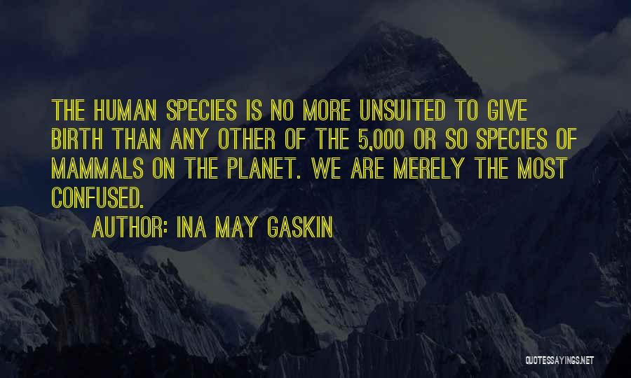 Ina May Gaskin Quotes: The Human Species Is No More Unsuited To Give Birth Than Any Other Of The 5,000 Or So Species Of