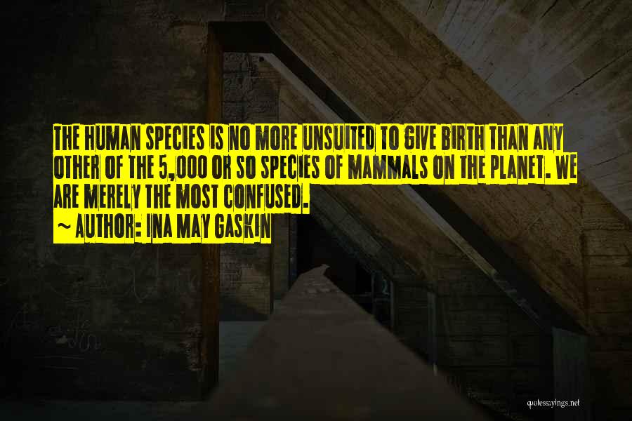 Ina May Gaskin Quotes: The Human Species Is No More Unsuited To Give Birth Than Any Other Of The 5,000 Or So Species Of