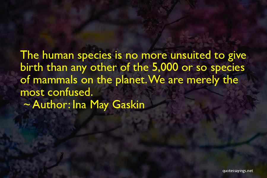 Ina May Gaskin Quotes: The Human Species Is No More Unsuited To Give Birth Than Any Other Of The 5,000 Or So Species Of