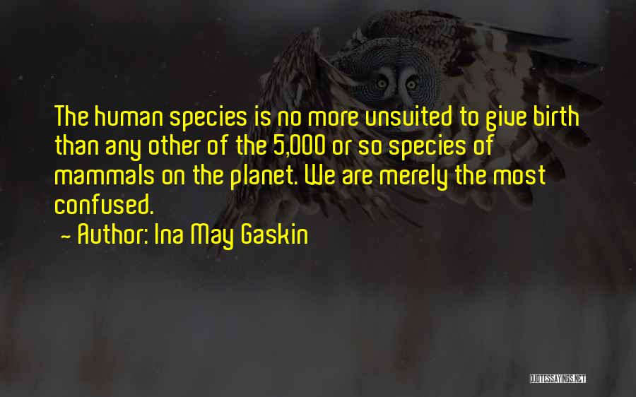 Ina May Gaskin Quotes: The Human Species Is No More Unsuited To Give Birth Than Any Other Of The 5,000 Or So Species Of