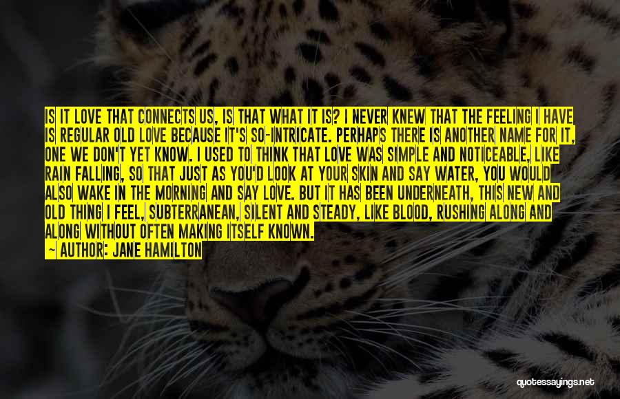 Jane Hamilton Quotes: Is It Love That Connects Us, Is That What It Is? I Never Knew That The Feeling I Have Is