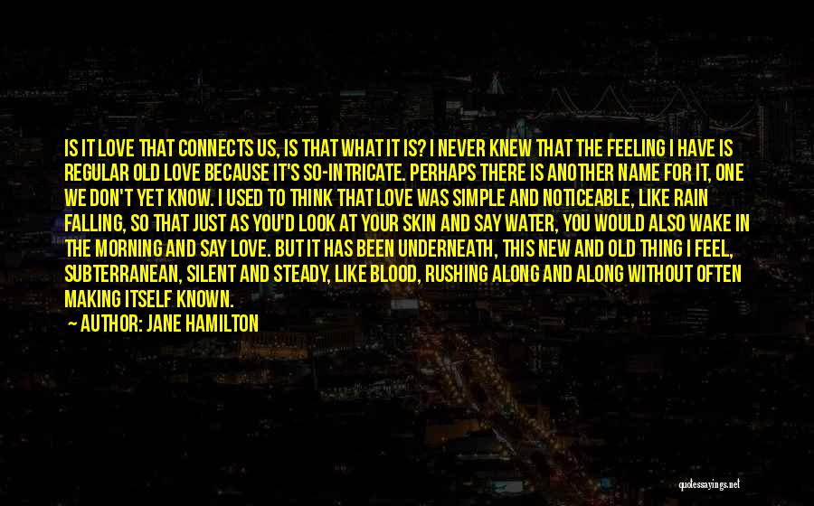Jane Hamilton Quotes: Is It Love That Connects Us, Is That What It Is? I Never Knew That The Feeling I Have Is