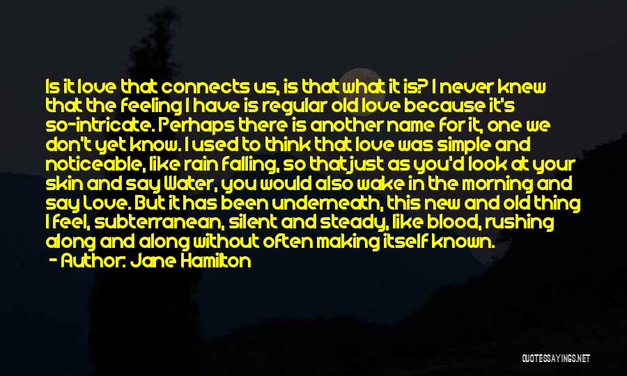 Jane Hamilton Quotes: Is It Love That Connects Us, Is That What It Is? I Never Knew That The Feeling I Have Is