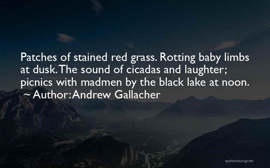 Andrew Gallacher Quotes: Patches Of Stained Red Grass. Rotting Baby Limbs At Dusk. The Sound Of Cicadas And Laughter; Picnics With Madmen By