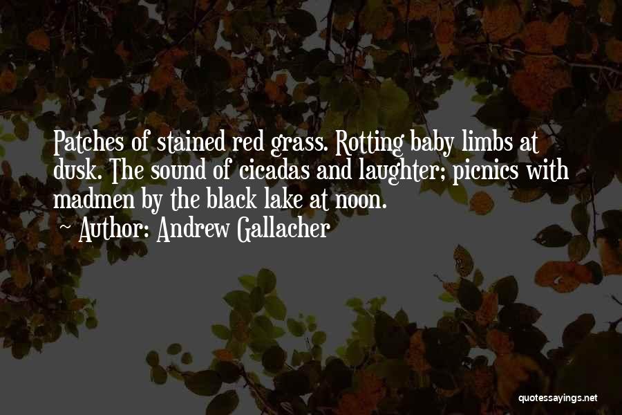Andrew Gallacher Quotes: Patches Of Stained Red Grass. Rotting Baby Limbs At Dusk. The Sound Of Cicadas And Laughter; Picnics With Madmen By