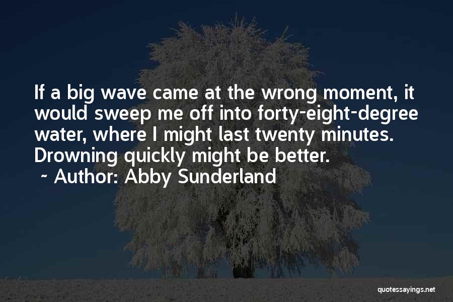 Abby Sunderland Quotes: If A Big Wave Came At The Wrong Moment, It Would Sweep Me Off Into Forty-eight-degree Water, Where I Might