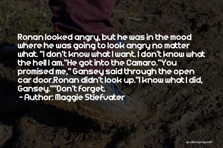 Maggie Stiefvater Quotes: Ronan Looked Angry, But He Was In The Mood Where He Was Going To Look Angry No Matter What. I