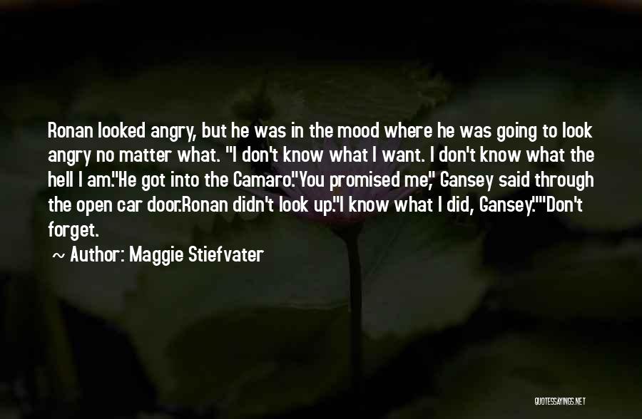 Maggie Stiefvater Quotes: Ronan Looked Angry, But He Was In The Mood Where He Was Going To Look Angry No Matter What. I