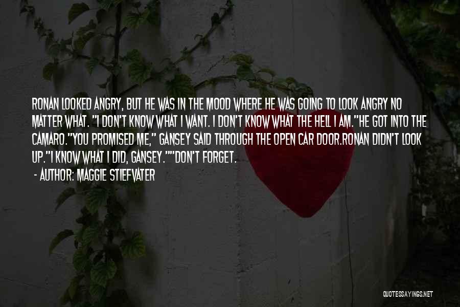 Maggie Stiefvater Quotes: Ronan Looked Angry, But He Was In The Mood Where He Was Going To Look Angry No Matter What. I