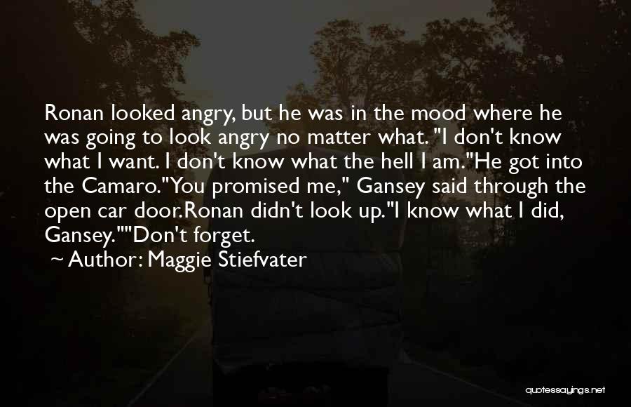 Maggie Stiefvater Quotes: Ronan Looked Angry, But He Was In The Mood Where He Was Going To Look Angry No Matter What. I