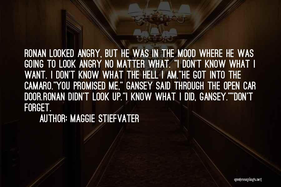 Maggie Stiefvater Quotes: Ronan Looked Angry, But He Was In The Mood Where He Was Going To Look Angry No Matter What. I