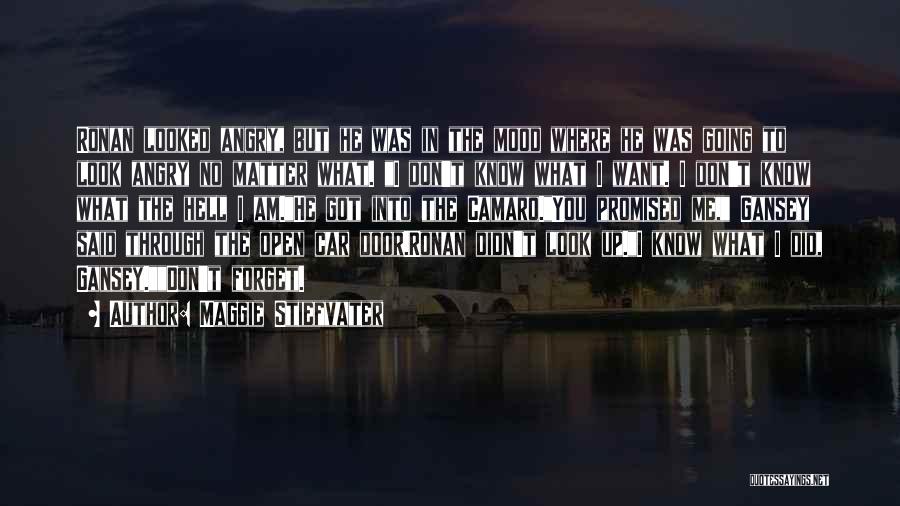 Maggie Stiefvater Quotes: Ronan Looked Angry, But He Was In The Mood Where He Was Going To Look Angry No Matter What. I