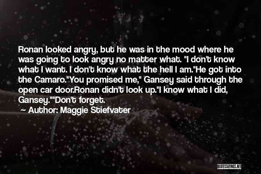 Maggie Stiefvater Quotes: Ronan Looked Angry, But He Was In The Mood Where He Was Going To Look Angry No Matter What. I