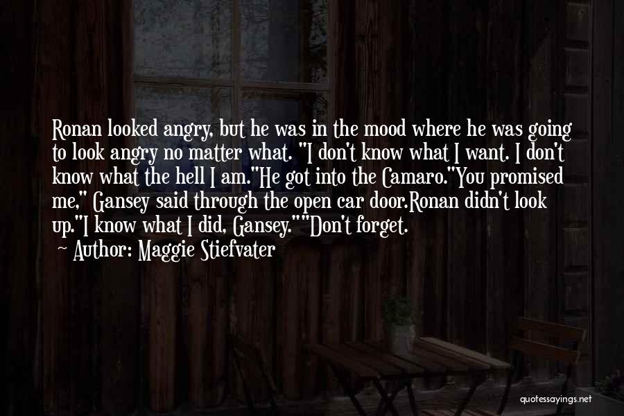 Maggie Stiefvater Quotes: Ronan Looked Angry, But He Was In The Mood Where He Was Going To Look Angry No Matter What. I