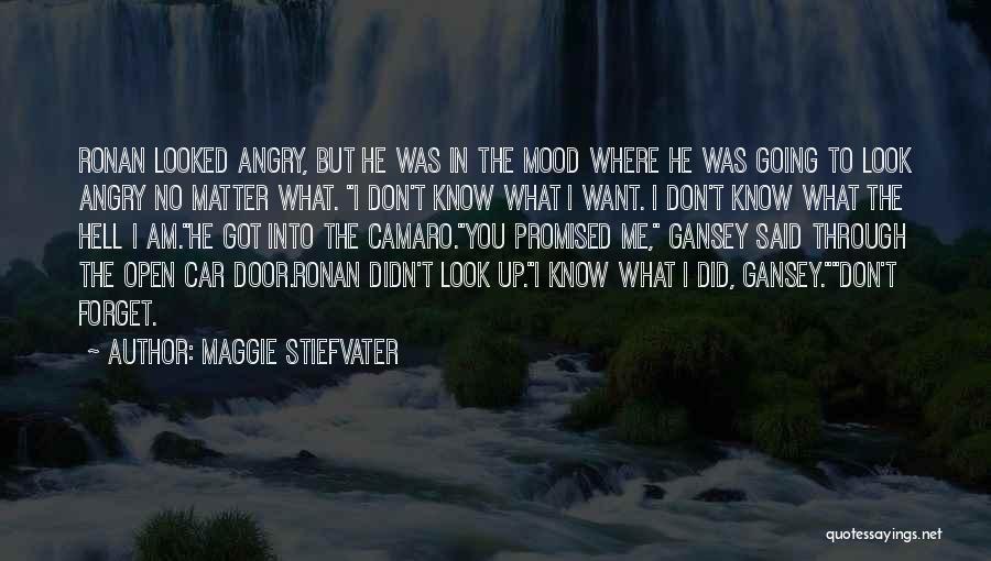 Maggie Stiefvater Quotes: Ronan Looked Angry, But He Was In The Mood Where He Was Going To Look Angry No Matter What. I