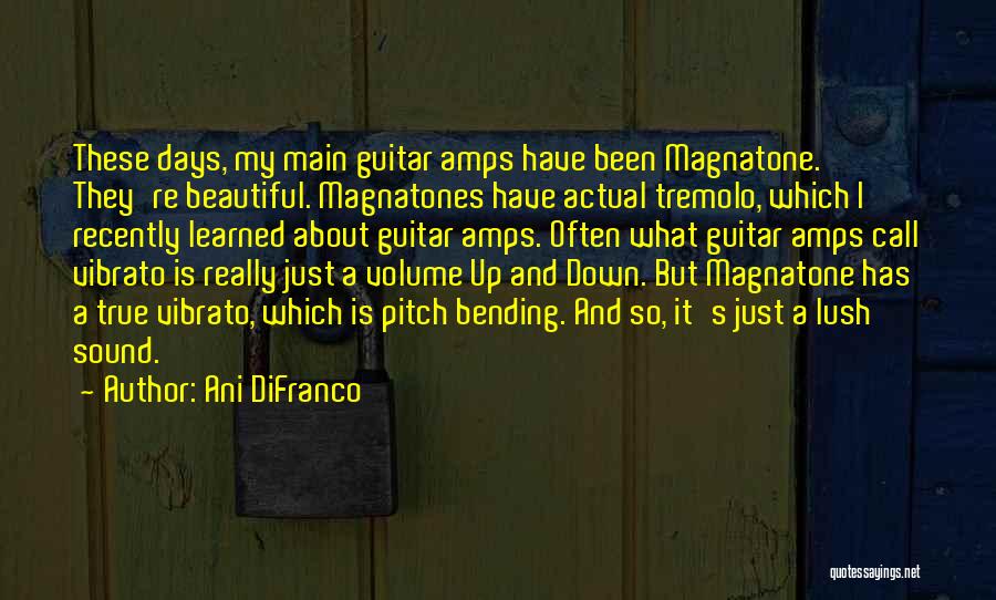 Ani DiFranco Quotes: These Days, My Main Guitar Amps Have Been Magnatone. They're Beautiful. Magnatones Have Actual Tremolo, Which I Recently Learned About
