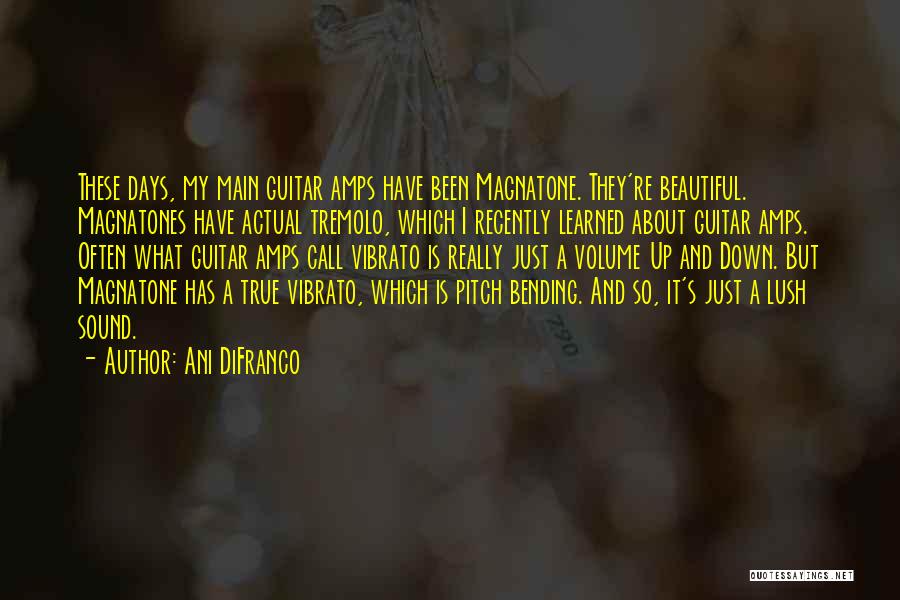 Ani DiFranco Quotes: These Days, My Main Guitar Amps Have Been Magnatone. They're Beautiful. Magnatones Have Actual Tremolo, Which I Recently Learned About