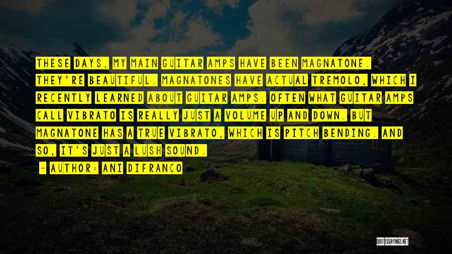 Ani DiFranco Quotes: These Days, My Main Guitar Amps Have Been Magnatone. They're Beautiful. Magnatones Have Actual Tremolo, Which I Recently Learned About