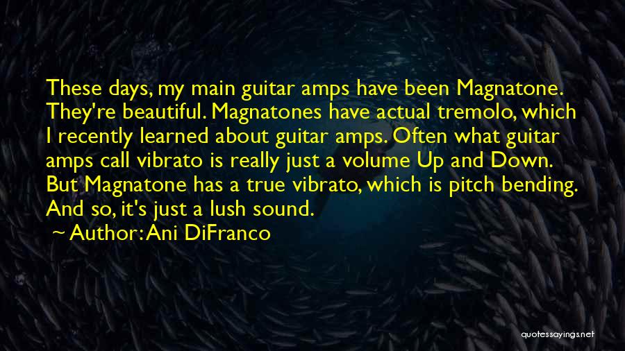 Ani DiFranco Quotes: These Days, My Main Guitar Amps Have Been Magnatone. They're Beautiful. Magnatones Have Actual Tremolo, Which I Recently Learned About