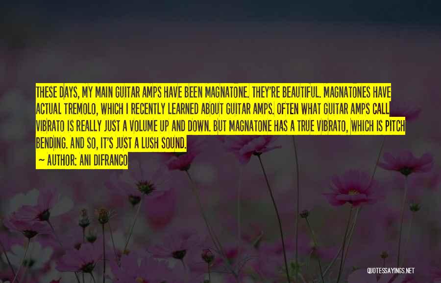 Ani DiFranco Quotes: These Days, My Main Guitar Amps Have Been Magnatone. They're Beautiful. Magnatones Have Actual Tremolo, Which I Recently Learned About