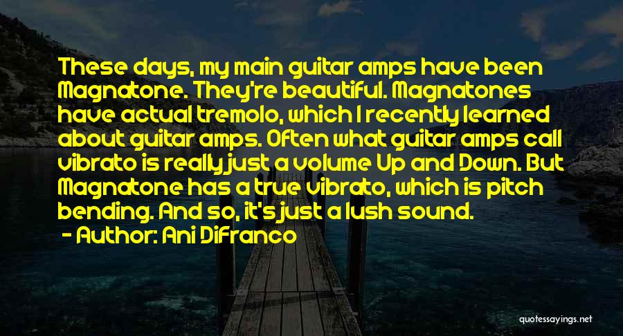 Ani DiFranco Quotes: These Days, My Main Guitar Amps Have Been Magnatone. They're Beautiful. Magnatones Have Actual Tremolo, Which I Recently Learned About