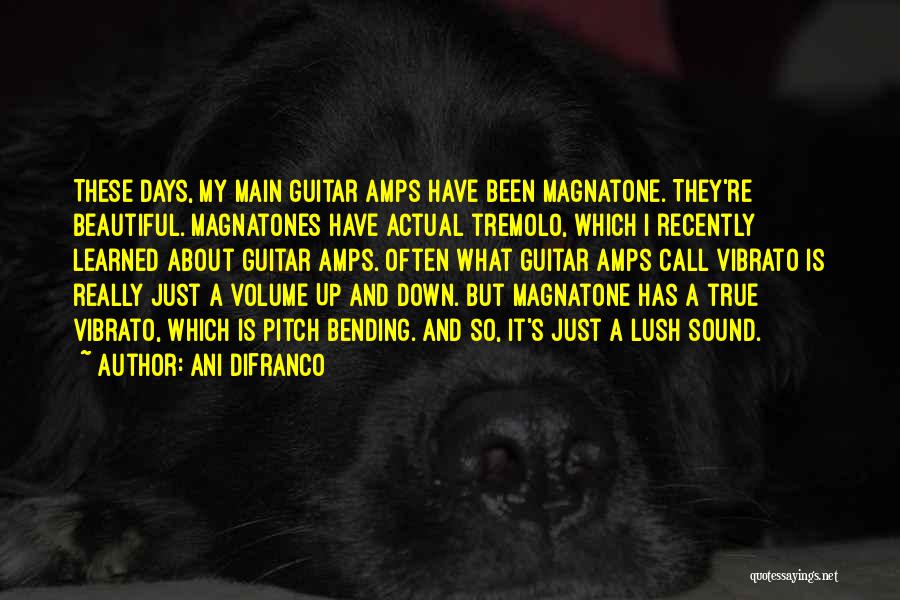 Ani DiFranco Quotes: These Days, My Main Guitar Amps Have Been Magnatone. They're Beautiful. Magnatones Have Actual Tremolo, Which I Recently Learned About