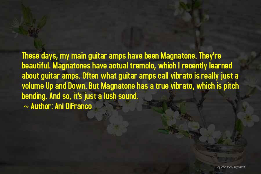 Ani DiFranco Quotes: These Days, My Main Guitar Amps Have Been Magnatone. They're Beautiful. Magnatones Have Actual Tremolo, Which I Recently Learned About