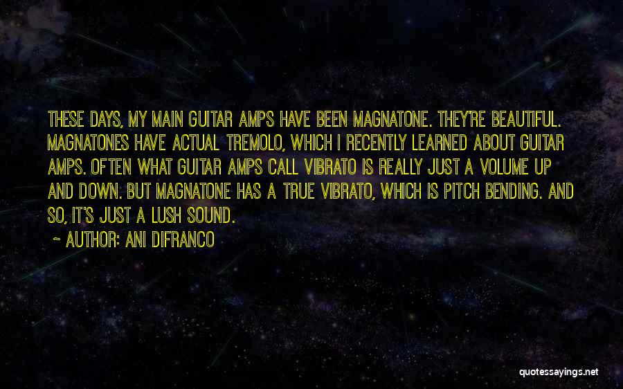 Ani DiFranco Quotes: These Days, My Main Guitar Amps Have Been Magnatone. They're Beautiful. Magnatones Have Actual Tremolo, Which I Recently Learned About