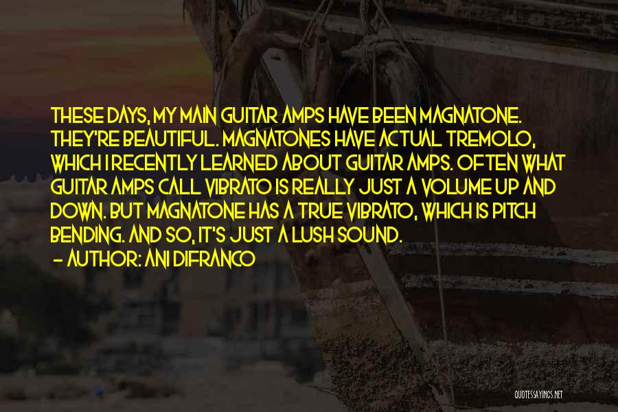 Ani DiFranco Quotes: These Days, My Main Guitar Amps Have Been Magnatone. They're Beautiful. Magnatones Have Actual Tremolo, Which I Recently Learned About