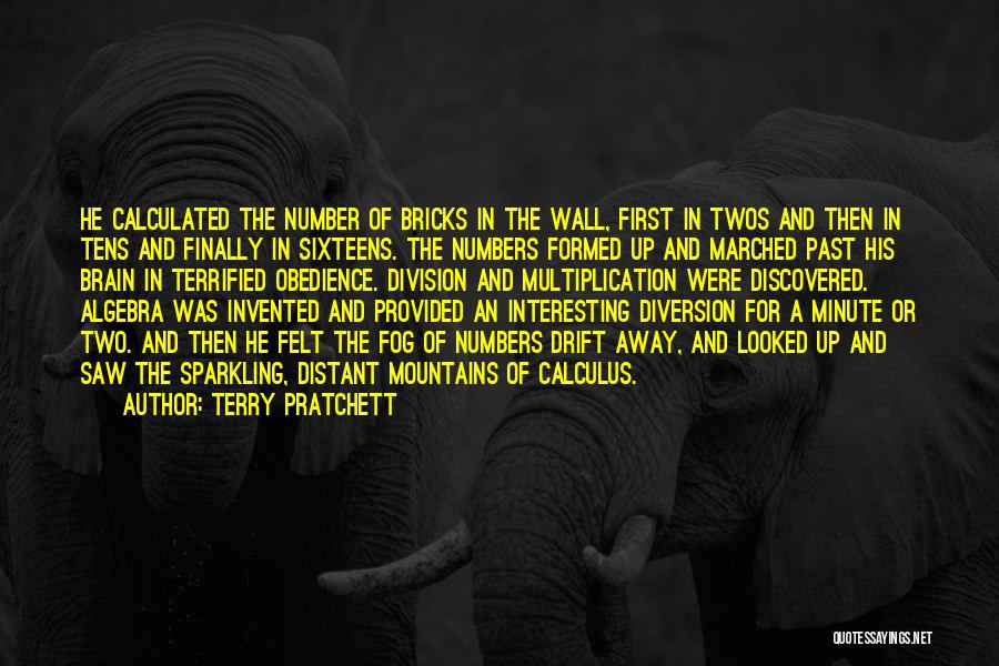 Terry Pratchett Quotes: He Calculated The Number Of Bricks In The Wall, First In Twos And Then In Tens And Finally In Sixteens.