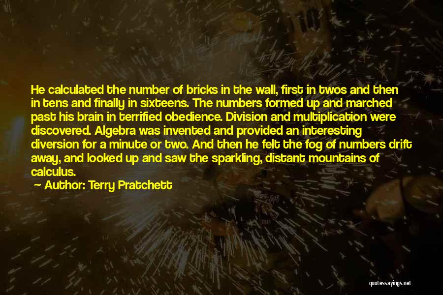 Terry Pratchett Quotes: He Calculated The Number Of Bricks In The Wall, First In Twos And Then In Tens And Finally In Sixteens.