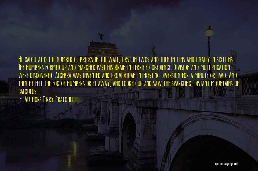 Terry Pratchett Quotes: He Calculated The Number Of Bricks In The Wall, First In Twos And Then In Tens And Finally In Sixteens.