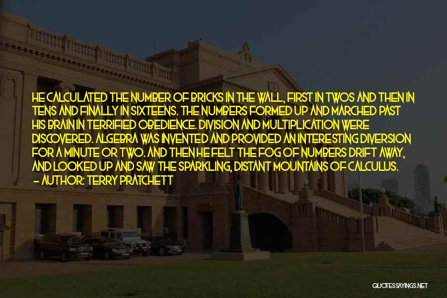 Terry Pratchett Quotes: He Calculated The Number Of Bricks In The Wall, First In Twos And Then In Tens And Finally In Sixteens.