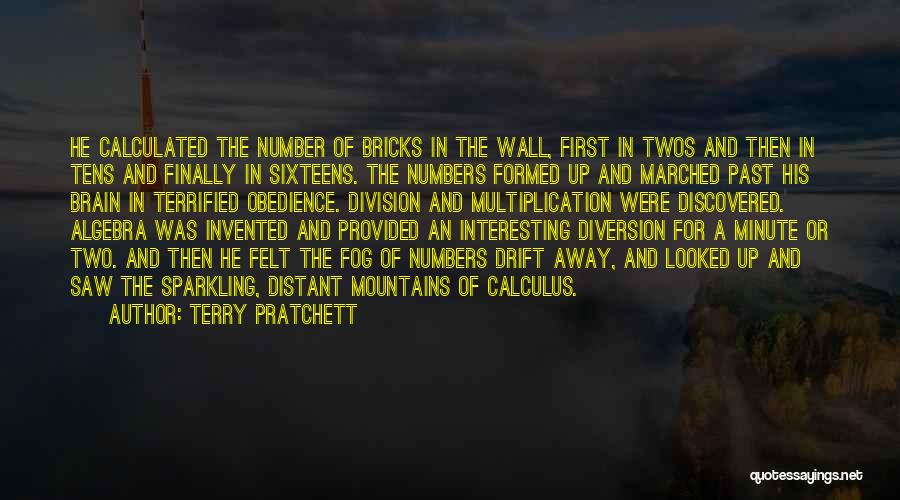 Terry Pratchett Quotes: He Calculated The Number Of Bricks In The Wall, First In Twos And Then In Tens And Finally In Sixteens.