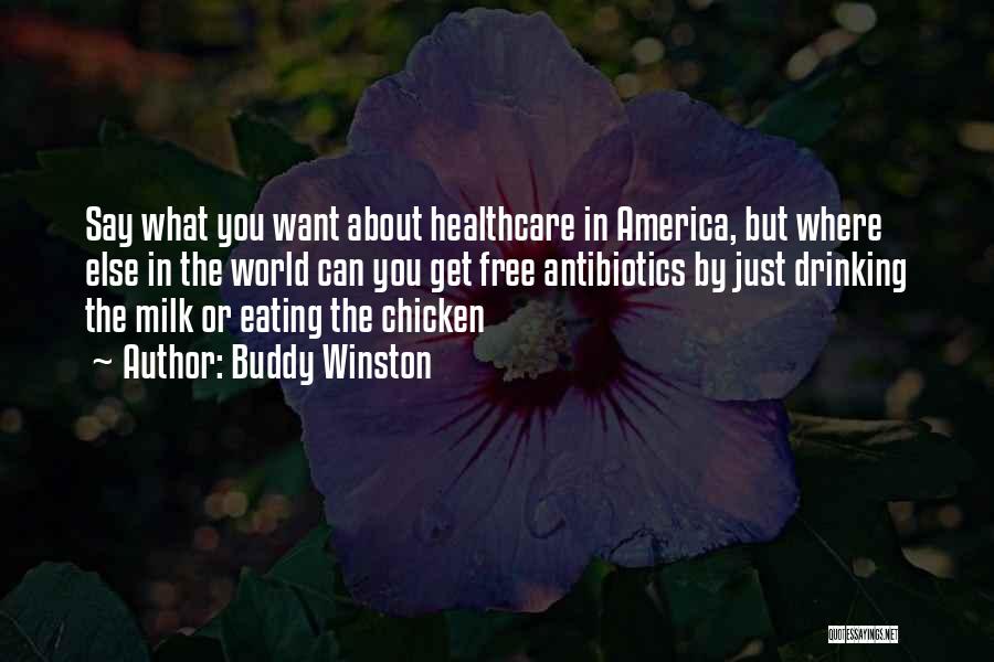 Buddy Winston Quotes: Say What You Want About Healthcare In America, But Where Else In The World Can You Get Free Antibiotics By