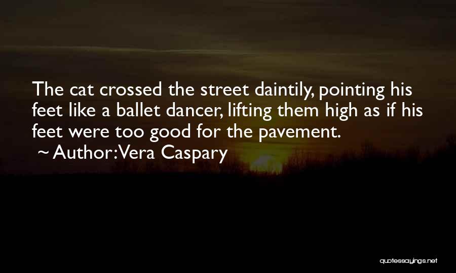 Vera Caspary Quotes: The Cat Crossed The Street Daintily, Pointing His Feet Like A Ballet Dancer, Lifting Them High As If His Feet