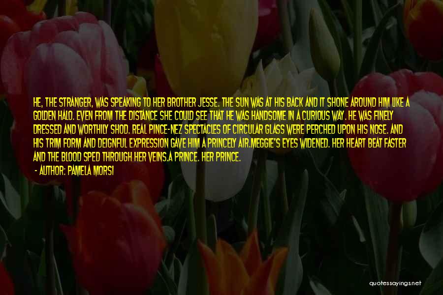 Pamela Morsi Quotes: He, The Stranger, Was Speaking To Her Brother Jesse. The Sun Was At His Back And It Shone Around Him