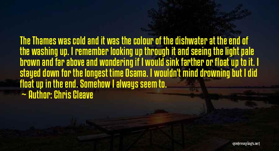 Chris Cleave Quotes: The Thames Was Cold And It Was The Colour Of The Dishwater At The End Of The Washing Up. I