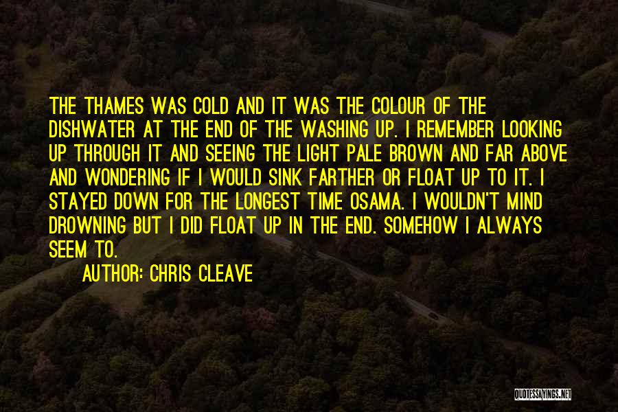 Chris Cleave Quotes: The Thames Was Cold And It Was The Colour Of The Dishwater At The End Of The Washing Up. I