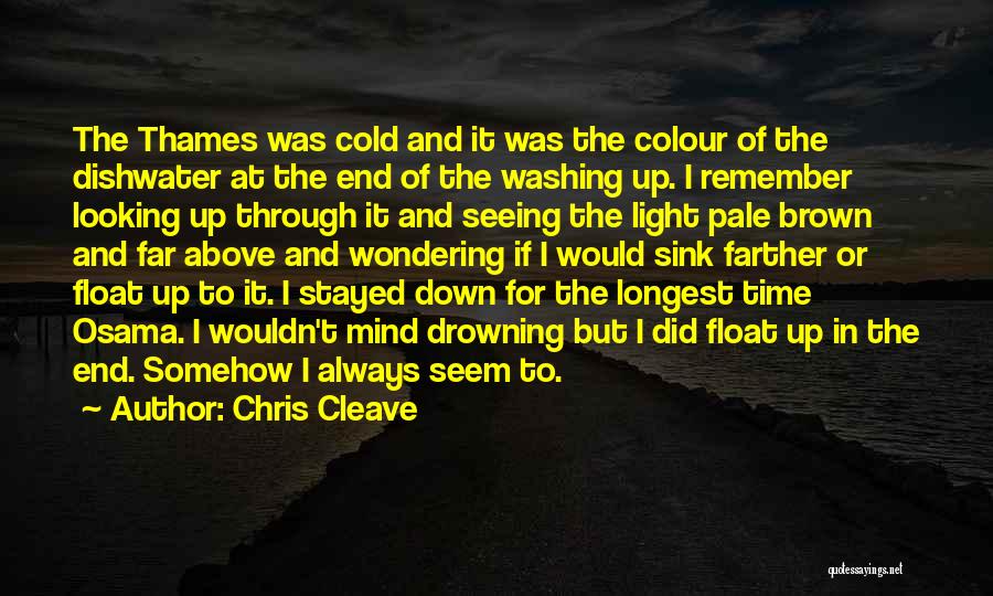 Chris Cleave Quotes: The Thames Was Cold And It Was The Colour Of The Dishwater At The End Of The Washing Up. I