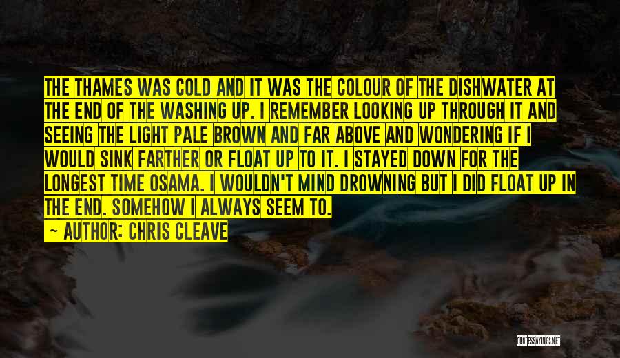 Chris Cleave Quotes: The Thames Was Cold And It Was The Colour Of The Dishwater At The End Of The Washing Up. I