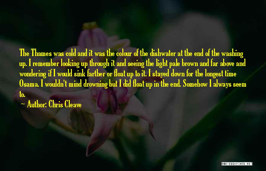 Chris Cleave Quotes: The Thames Was Cold And It Was The Colour Of The Dishwater At The End Of The Washing Up. I