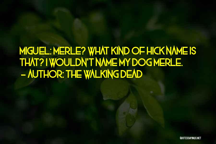 The Walking Dead Quotes: Miguel: Merle? What Kind Of Hick Name Is That? I Wouldn't Name My Dog Merle.