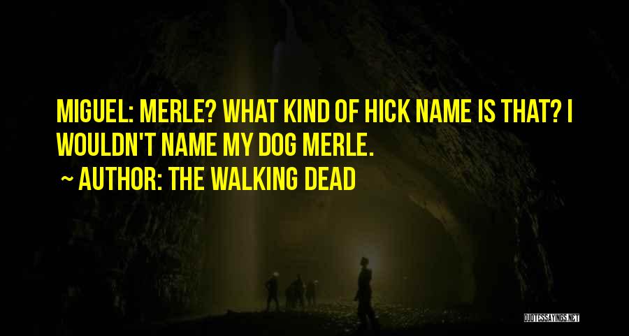 The Walking Dead Quotes: Miguel: Merle? What Kind Of Hick Name Is That? I Wouldn't Name My Dog Merle.