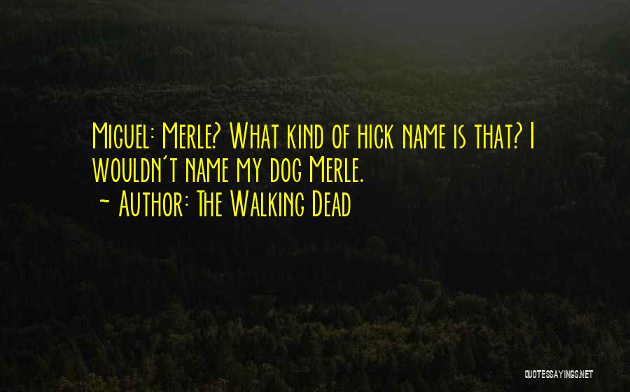 The Walking Dead Quotes: Miguel: Merle? What Kind Of Hick Name Is That? I Wouldn't Name My Dog Merle.