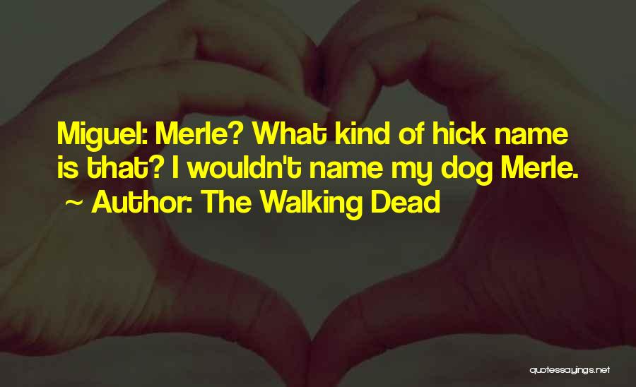 The Walking Dead Quotes: Miguel: Merle? What Kind Of Hick Name Is That? I Wouldn't Name My Dog Merle.