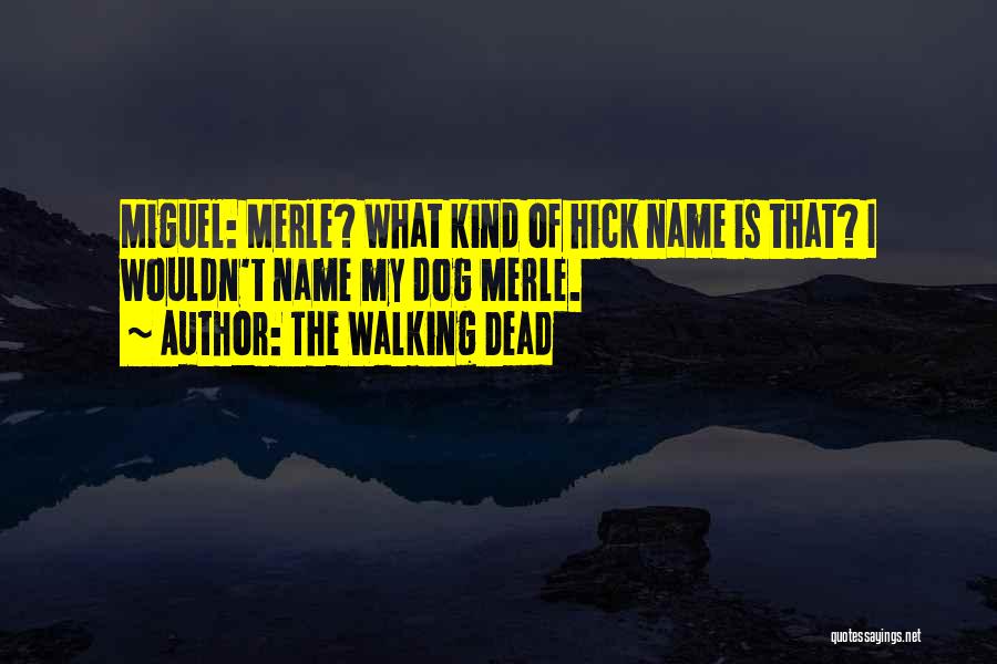 The Walking Dead Quotes: Miguel: Merle? What Kind Of Hick Name Is That? I Wouldn't Name My Dog Merle.